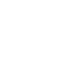 Licensed bonded insured-white